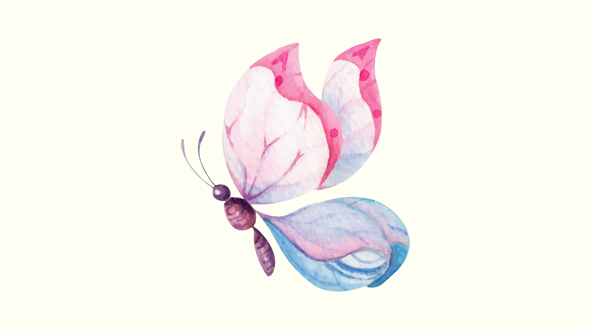 Pastel butterfly illustration for EL Education