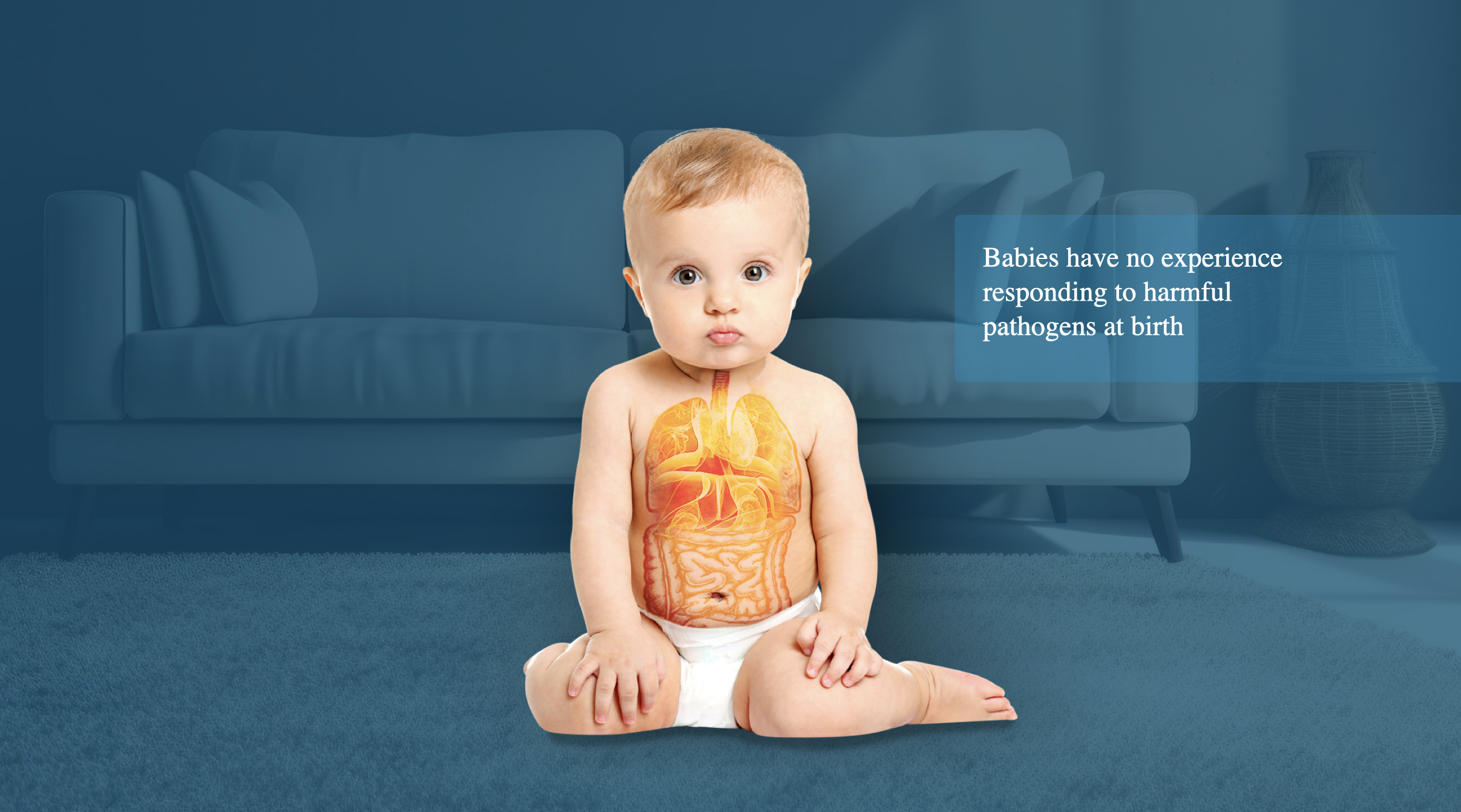 Infant health illustration showing the digestive system