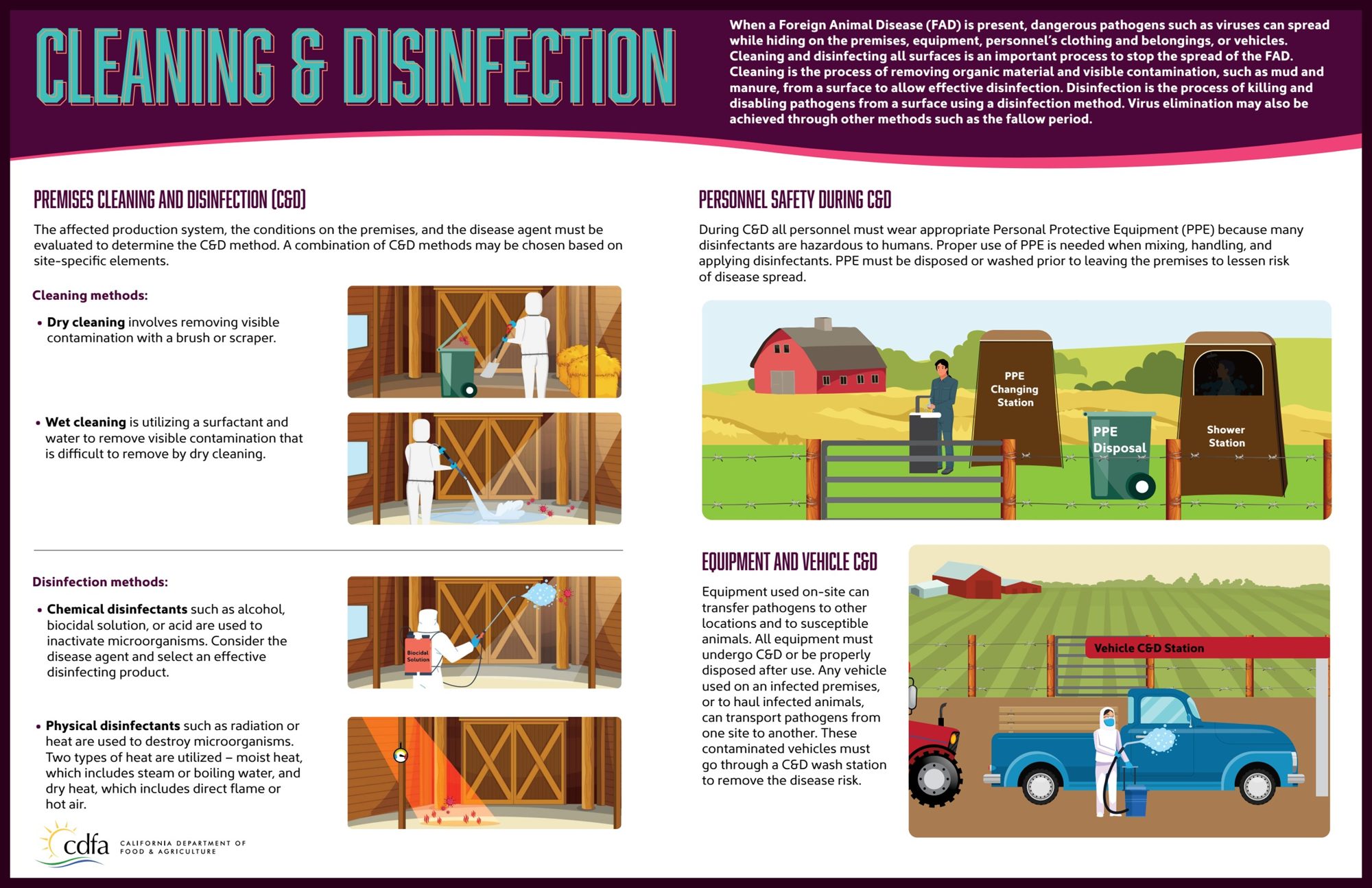Cleaning and Disinfection infographic presented as a clean printed poster