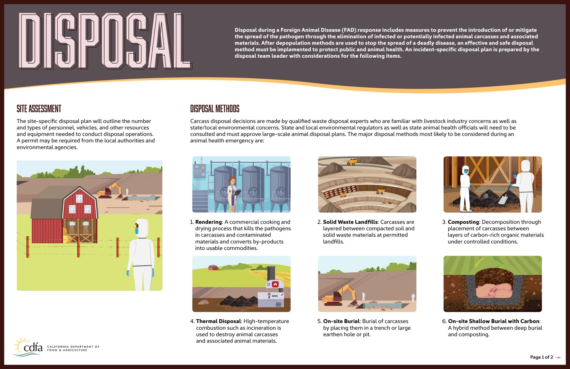 Disposal infographic presented as a clean printed poster
