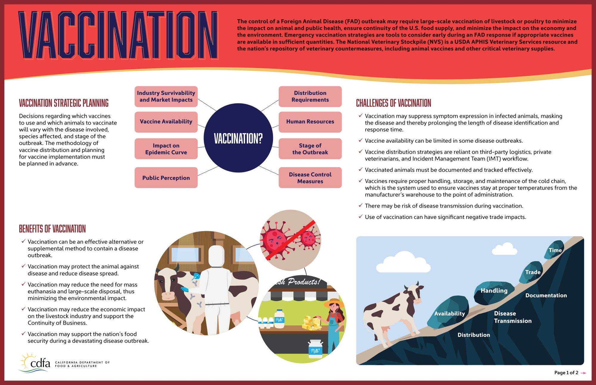 Vaccination infographic presented as a clean printed poster